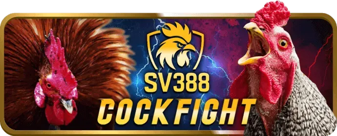 Quy trình rút tiền 79king